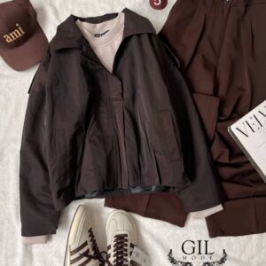 بارونی آیسل